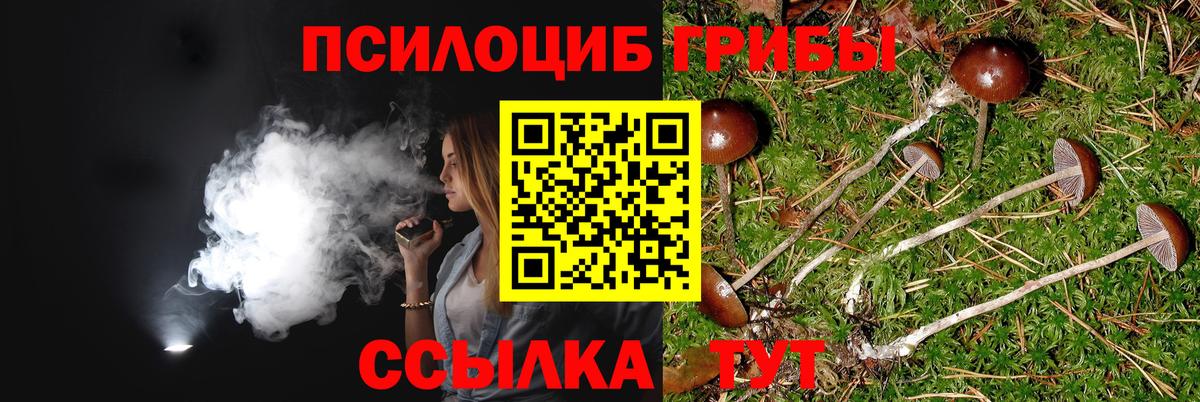 Галлюциногенные грибы GOLDEN TEACHER  Вход с VPN  Донской 