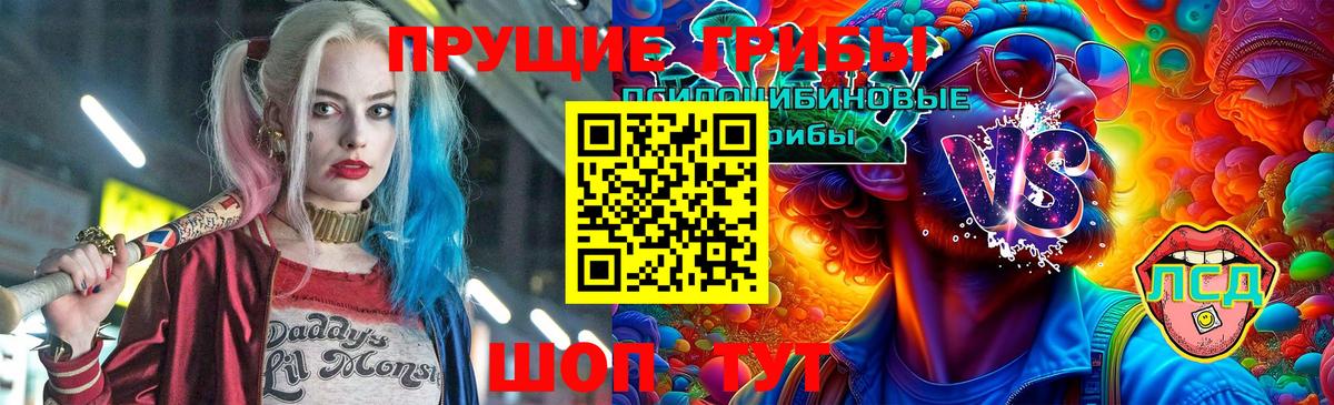 Псилоцибиновые грибы Psilocybe Донской